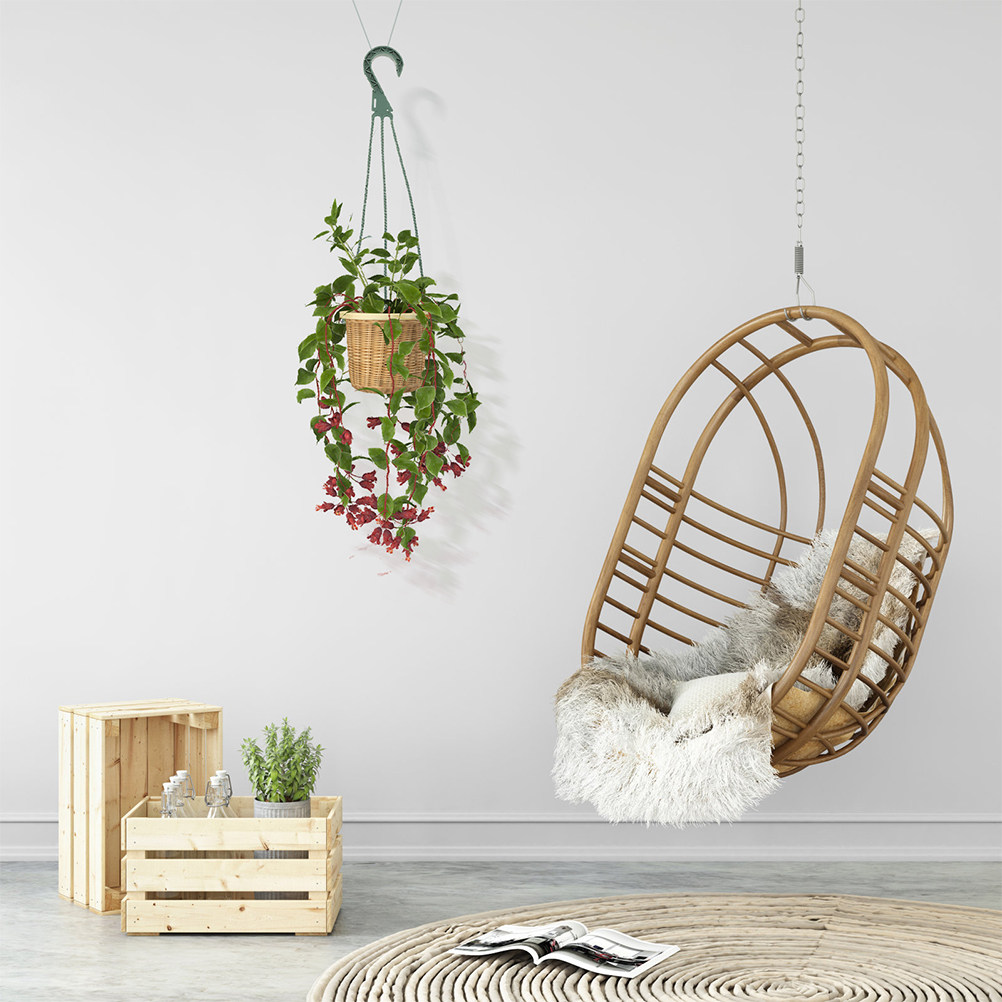 Spider Plant Hanging - Conjunto de 5 Ganchos para Plantas