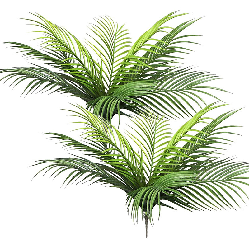 Monstera Adansonii - 20,47 pol. 9 folhas de plantas