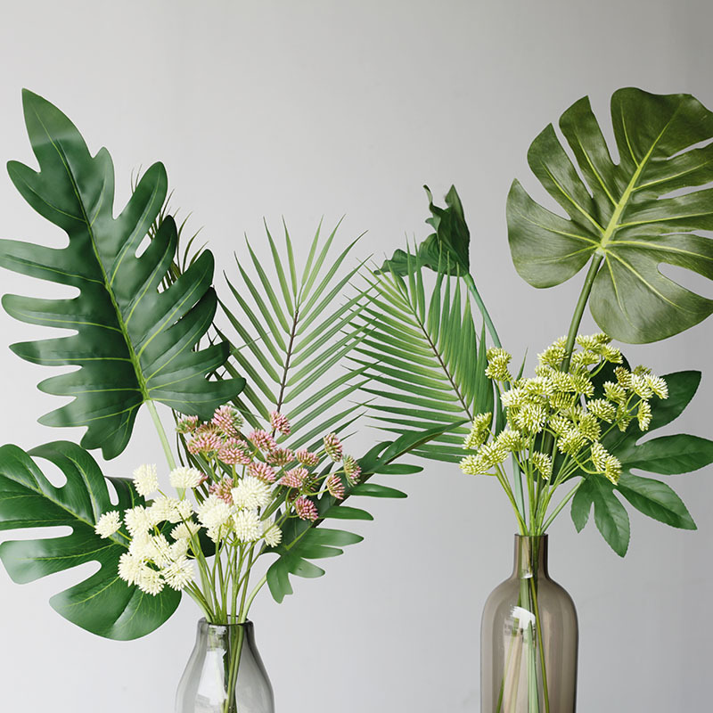 59cm folha de tartaruga planta - Monstera Adansonii avaliação e preço