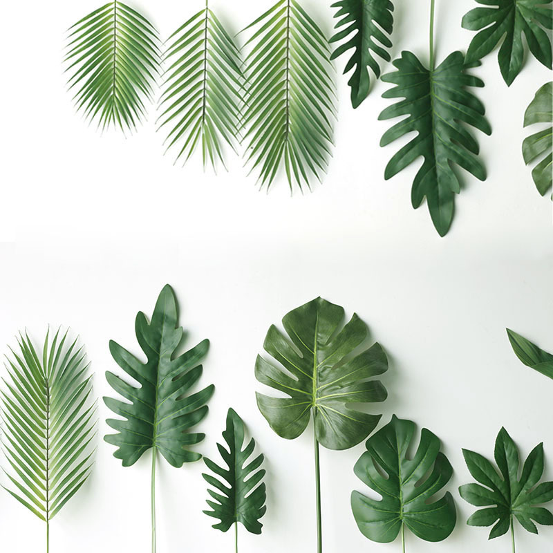 59cm folha de tartaruga planta - Monstera Adansonii avaliação e preço