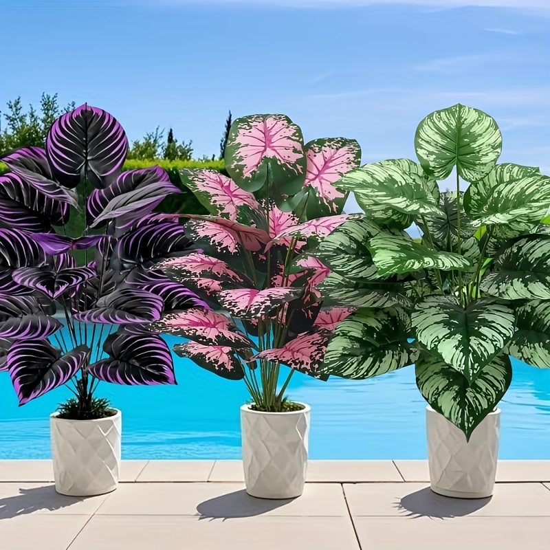 Conjunto de plantas verdes art - Monstera Adansonii avaliação e preço