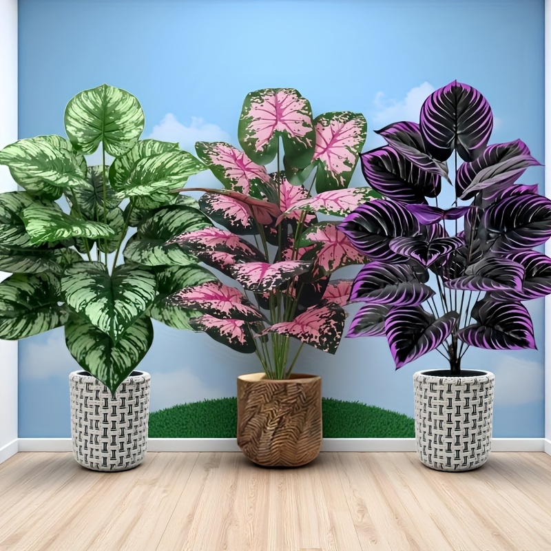 Conjunto de plantas verdes art - Monstera Adansonii avaliação e preço