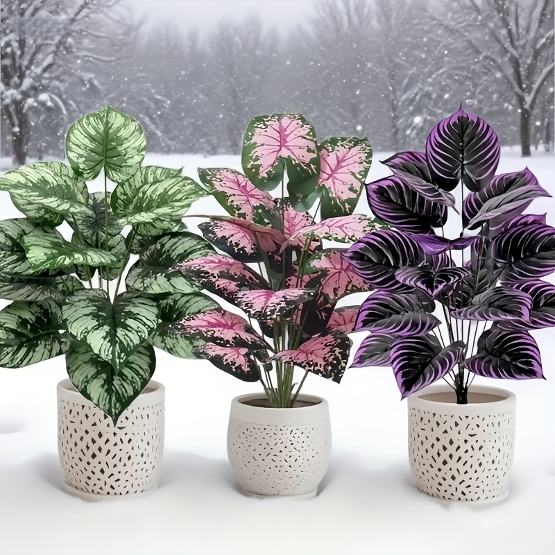 Conjunto de plantas verdes art - Monstera Adansonii avaliação e preço