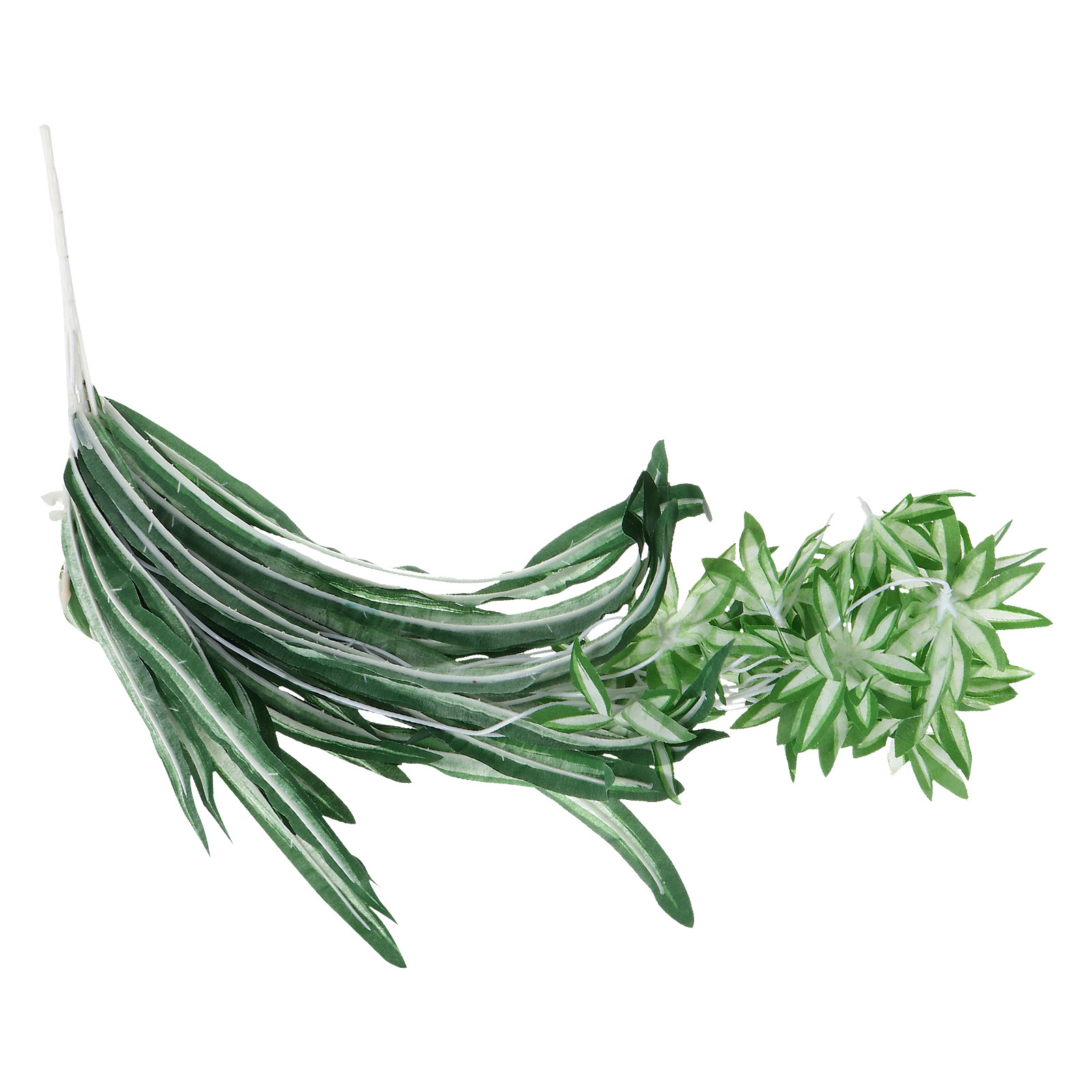 1 unidade de Planta Aranha Art - Spider Plant Hanging avaliação e preço
