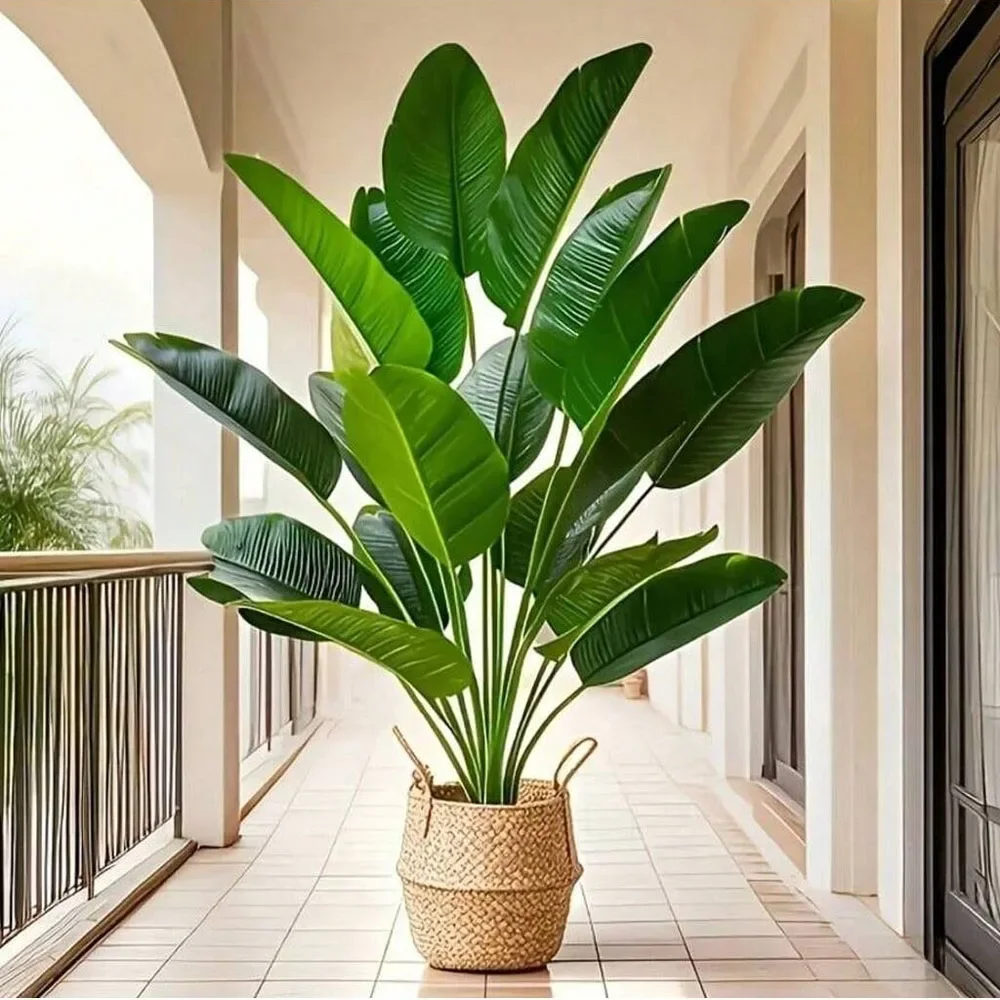 1pc 18 folhas plantas artifici - Monstera Adansonii avaliação e preço