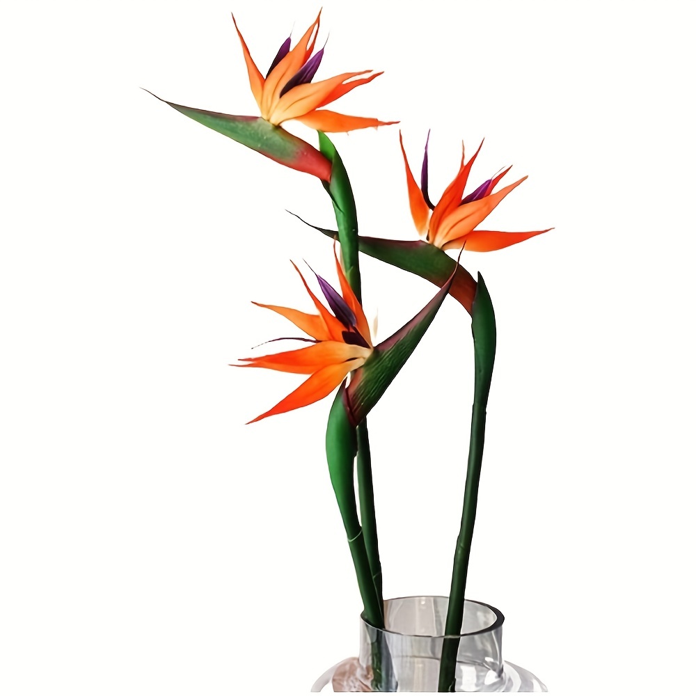 3 pçs artificial pássaro do pa - Bird Paradise Strelitzia avaliação e preço