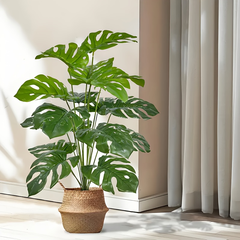2 pçs verde 24 folhas plantas  - Monstera Adansonii avaliação e preço