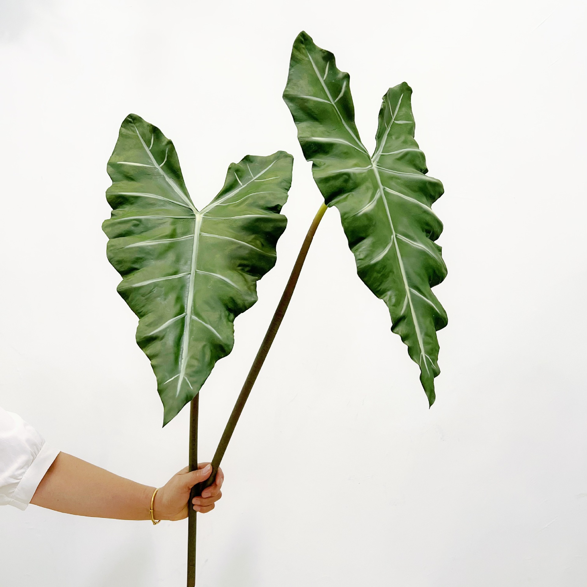 Simulado longo pu mão-sensa pl - Monstera Adansonii avaliação e preço