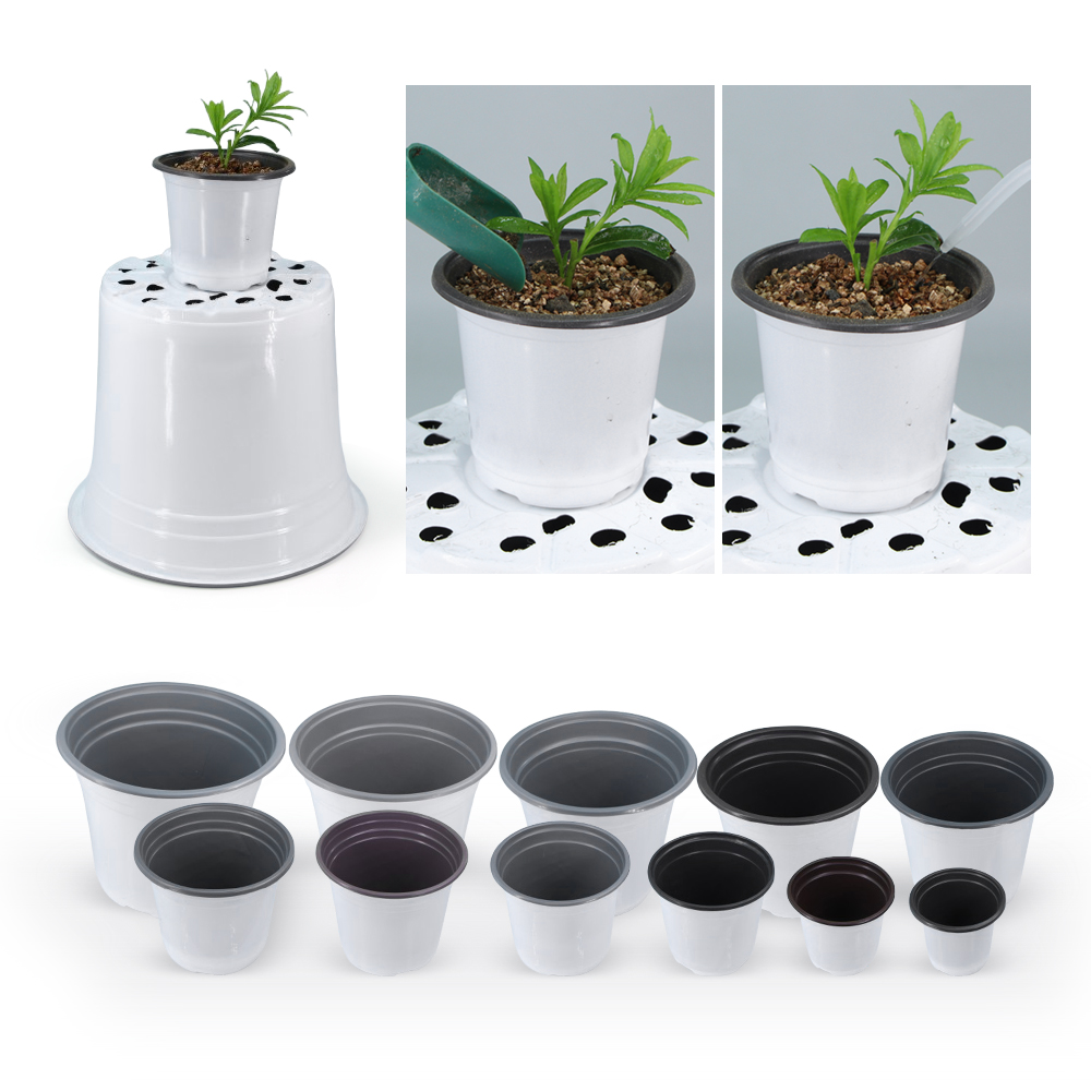 Vaso de plástico branco para c - Echeveria Succulent avaliação e preço